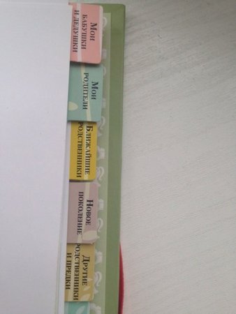 Наша семейная книга